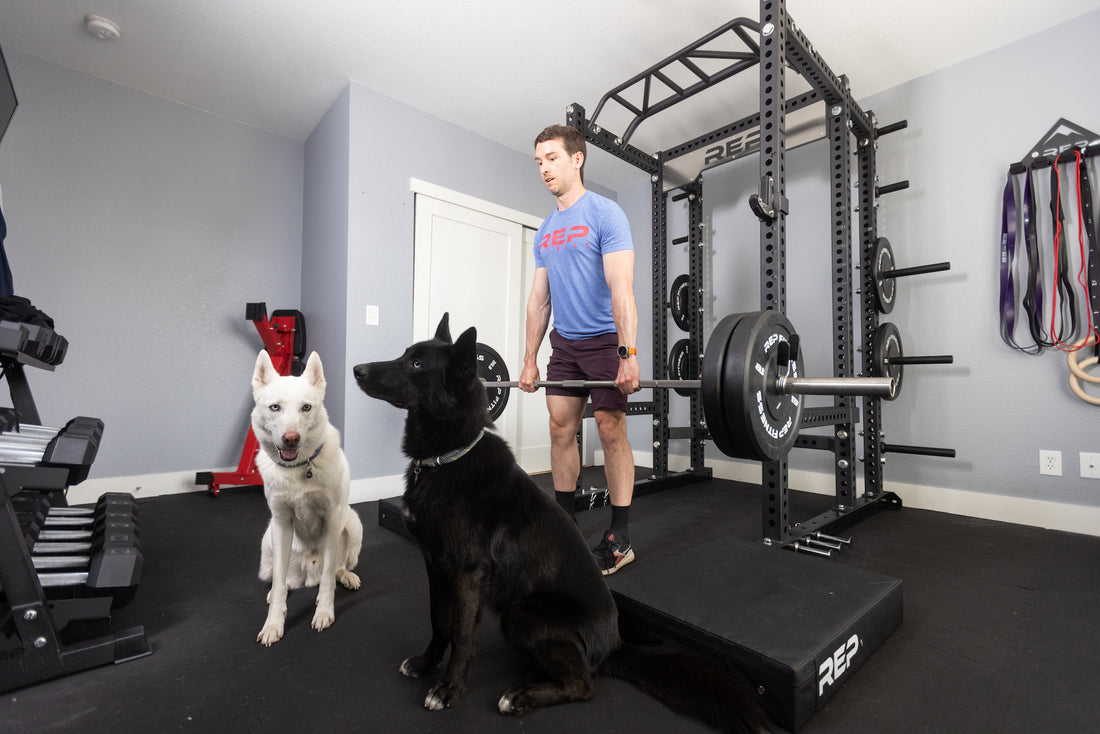 Man doing deadlifts next to his two dogs