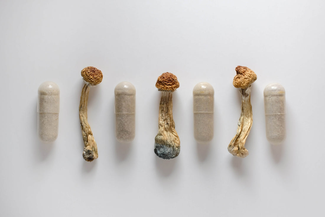 Magic mushrooms and pill containers.