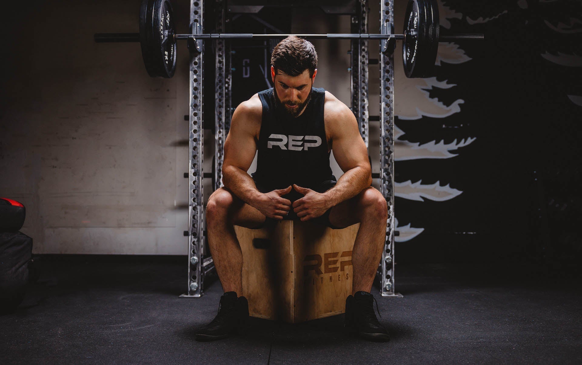 Rep Shop Gc Home or Commercial Gym Aesthetics | REP – REP Fitness