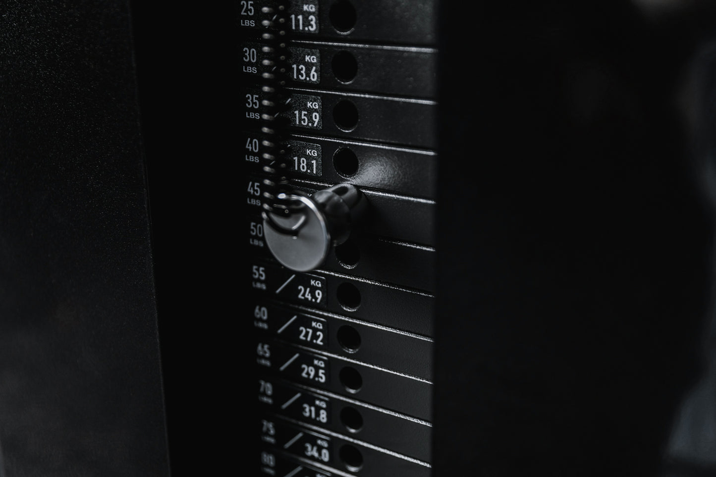 Close-up shot of one of the weight stacks and magnetized pin for the Arcadia™ max