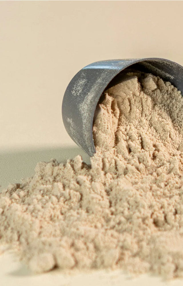 Metallic scoop filled with protein powder  on a beige background