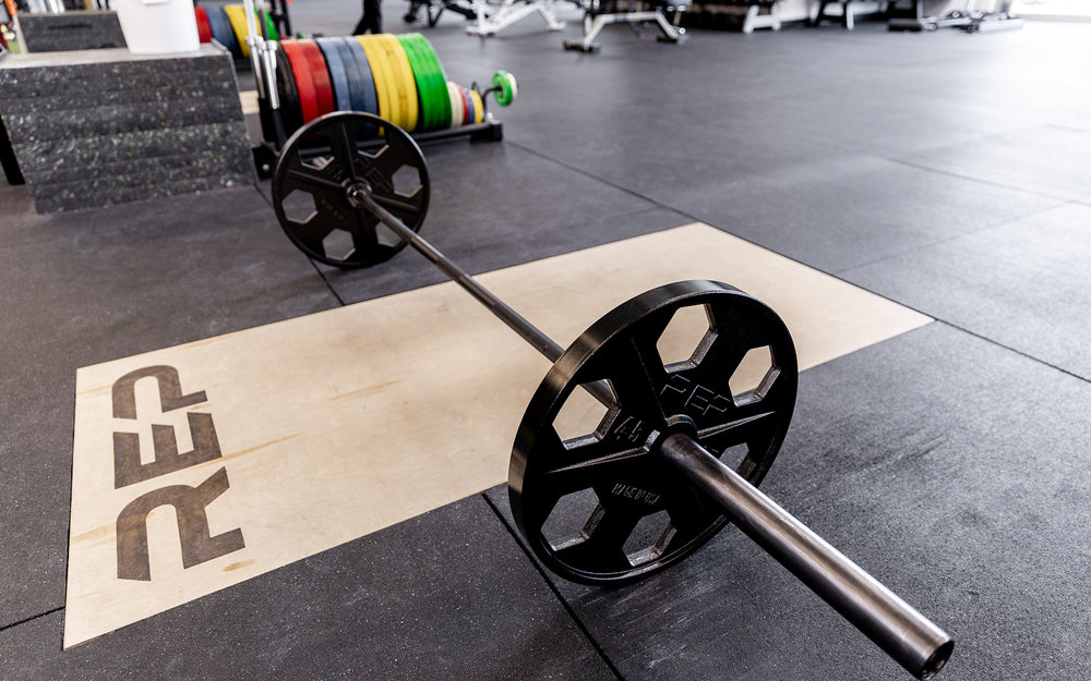 Barbell loaded with a pair of 45lb USA-Made Equalizer Iron Plates.