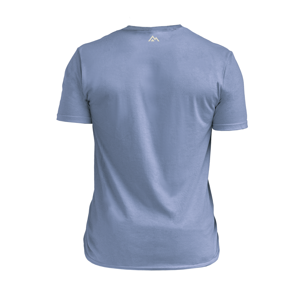The REP Fitness Men's Daily Driver 2.0 USA Tri-Blend Crew T-Shirt in Heather Blue/White back