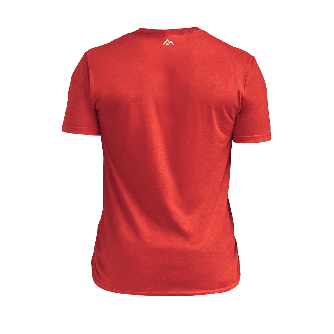 The REP Fitness Men's Daily Driver 2.0 USA Tri-Blend Crew T-Shirt in Heather Red/White back
