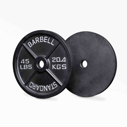 2.5lb Old School Iron Plate Pair